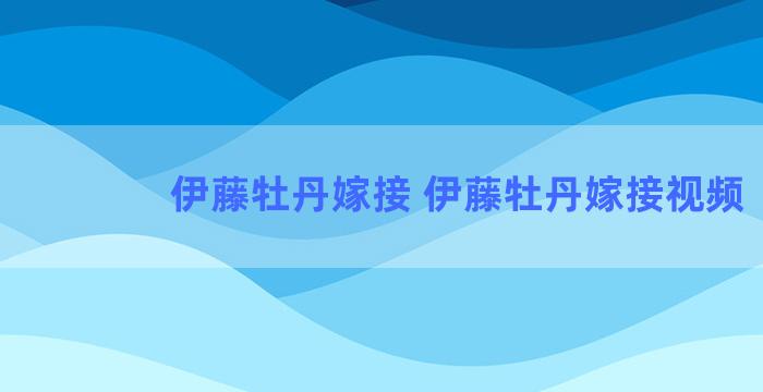 伊藤牡丹嫁接 伊藤牡丹嫁接视频